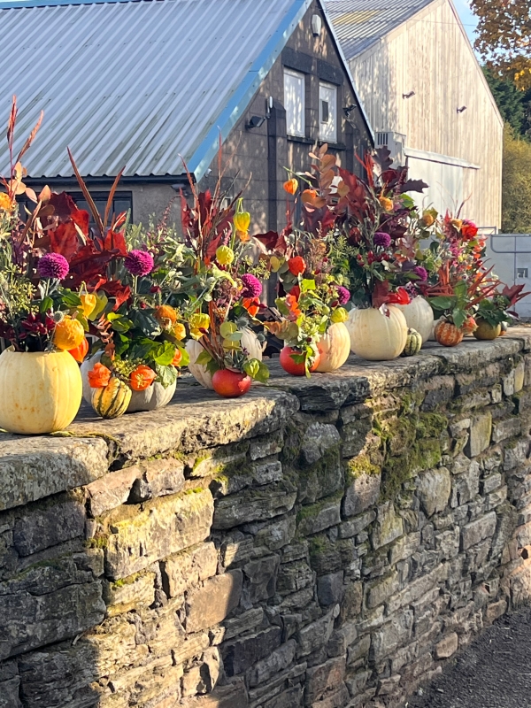 Autumn pumpkin workshop 26th October 2024