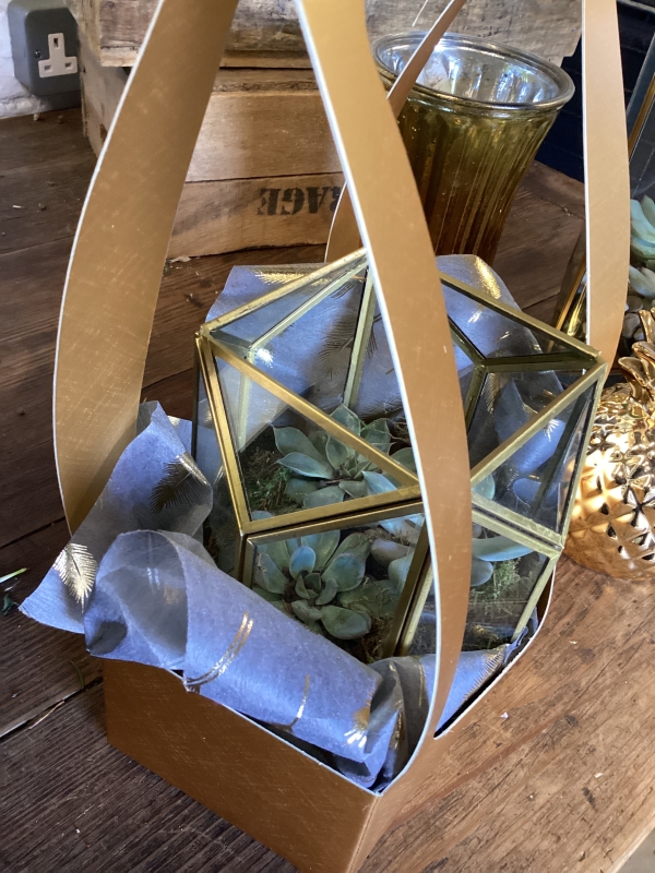 Gold trio plant gift box